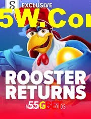 Crash Games Strategies 55Gbet